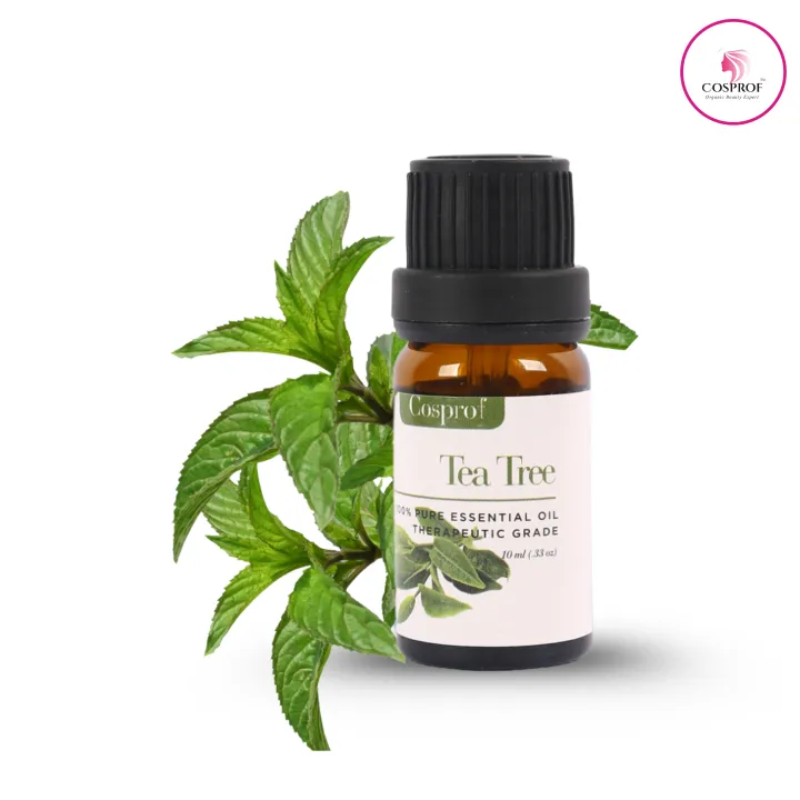 Cosprof Tea Tree Essential Oil for Aromatherapy 10ml - Buy online at BDyana